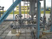 Banatski dvor slika35